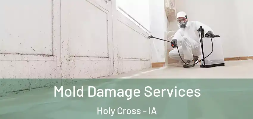 Mold Damage Services Holy Cross - IA