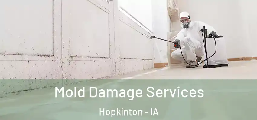 Mold Damage Services Hopkinton - IA