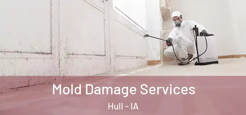  Mold Damage Services Hull - IA