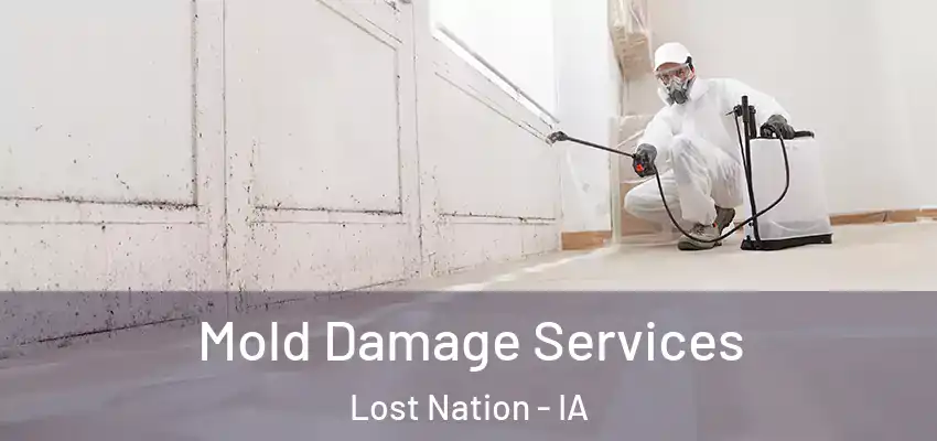 Mold Damage Services Lost Nation - IA
