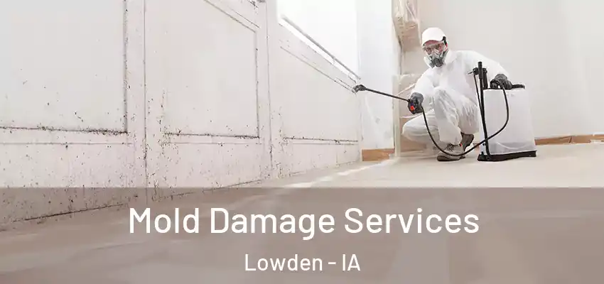 Mold Damage Services Lowden - IA