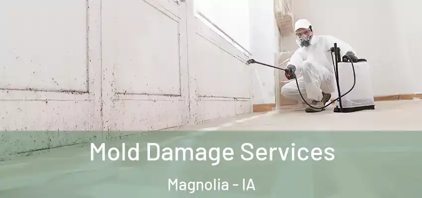 Mold Damage Services Magnolia - IA