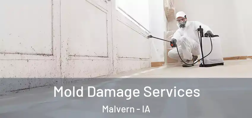  Mold Damage Services Malvern - IA