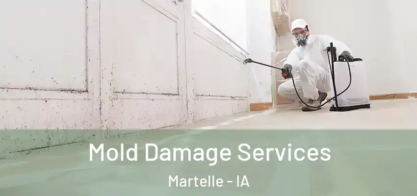 Mold Damage Services Martelle - IA