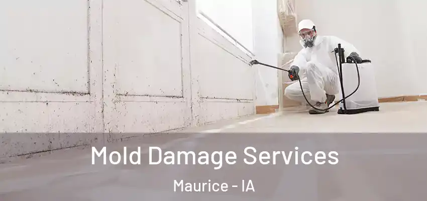  Mold Damage Services Maurice - IA