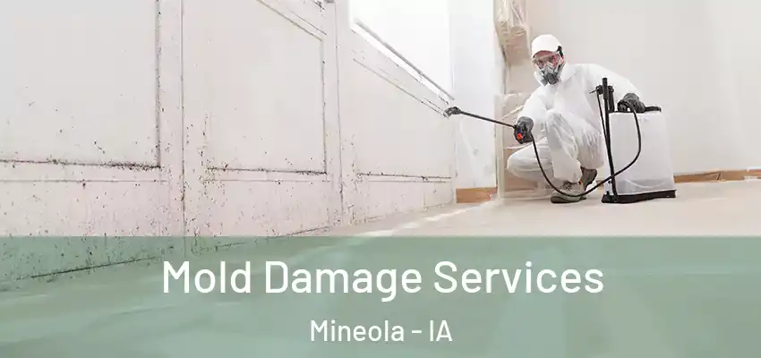 Mold Damage Services Mineola - IA