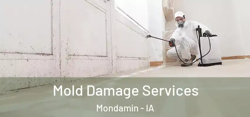 Mold Damage Services Mondamin - IA