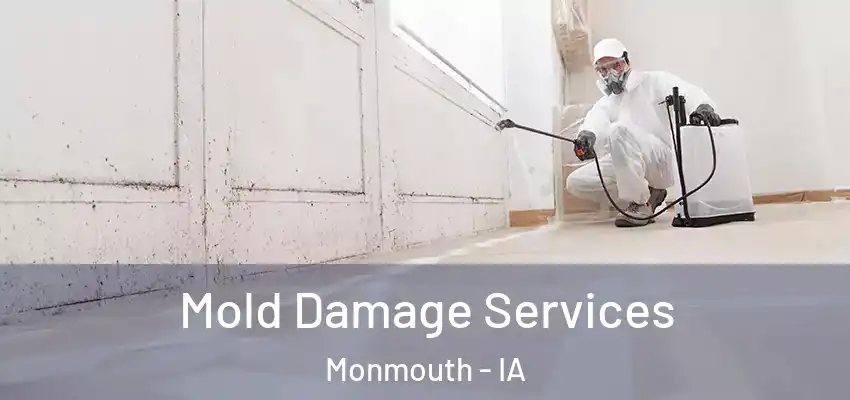  Mold Damage Services Monmouth - IA
