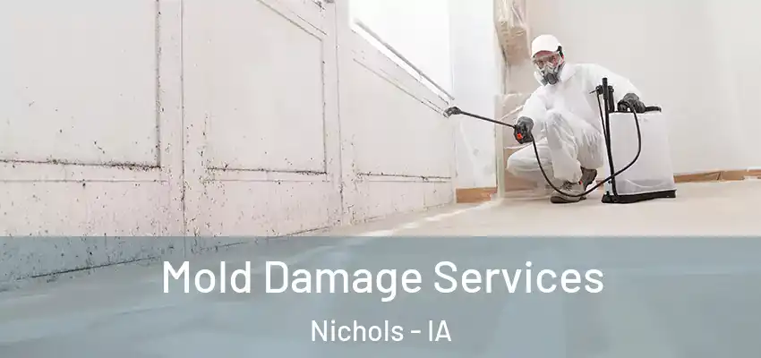 Mold Damage Services Nichols - IA