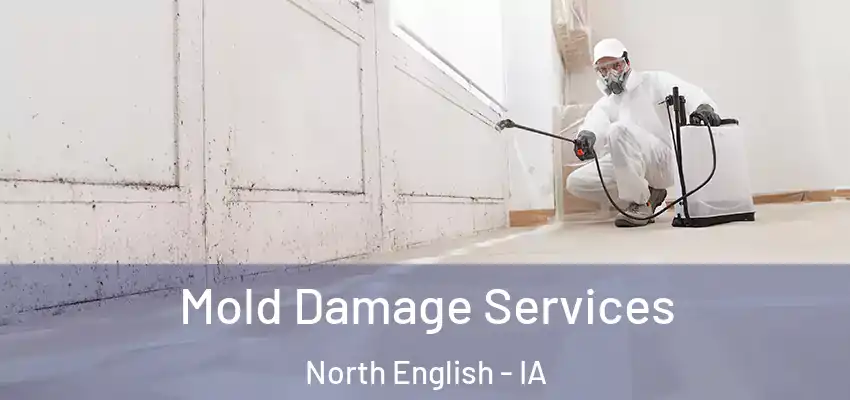  Mold Damage Services North English - IA
