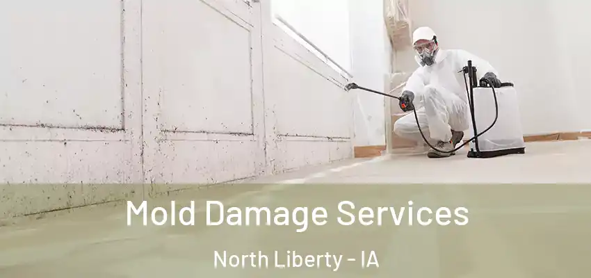 Mold Damage Services North Liberty - IA