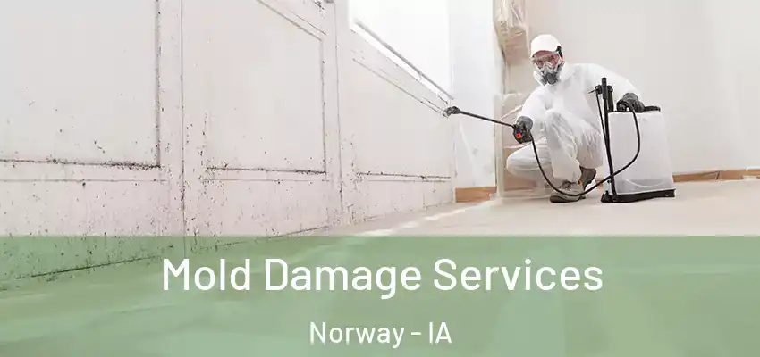  Mold Damage Services Norway - IA