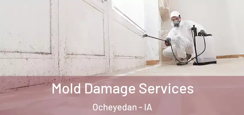  Mold Damage Services Ocheyedan - IA