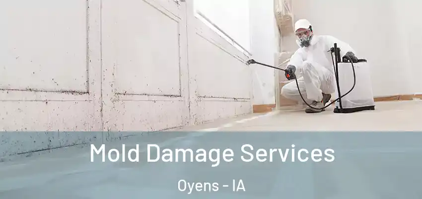  Mold Damage Services Oyens - IA
