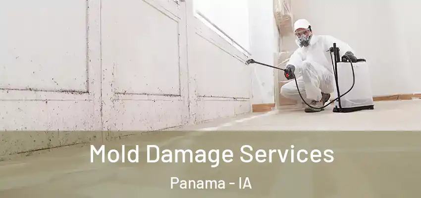  Mold Damage Services Panama - IA