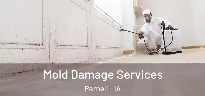  Mold Damage Services Parnell - IA