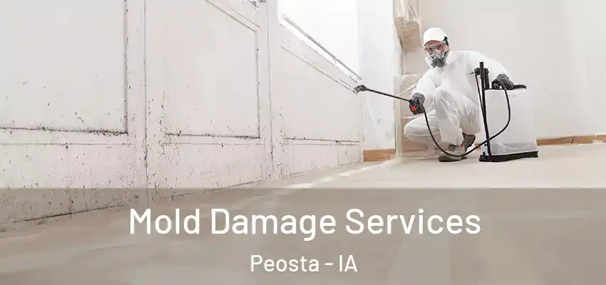 Mold Damage Services Peosta - IA