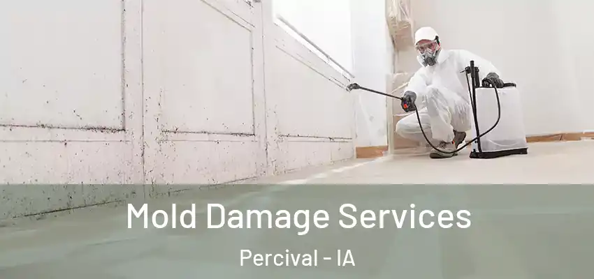  Mold Damage Services Percival - IA