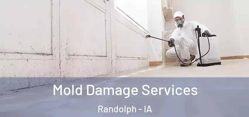  Mold Damage Services Randolph - IA