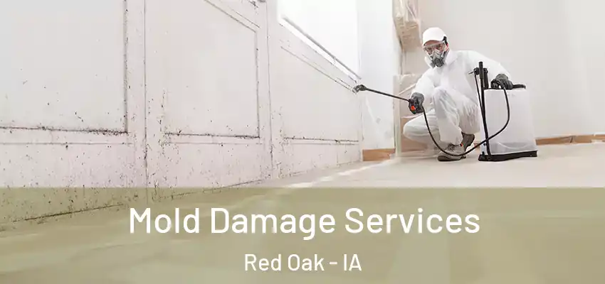  Mold Damage Services Red Oak - IA