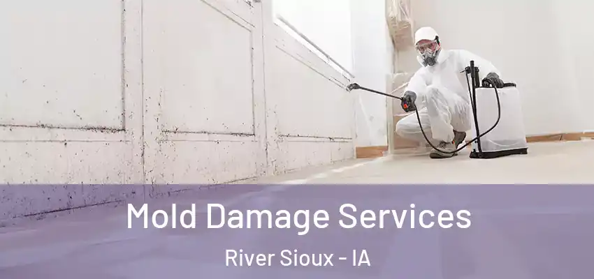  Mold Damage Services River Sioux - IA