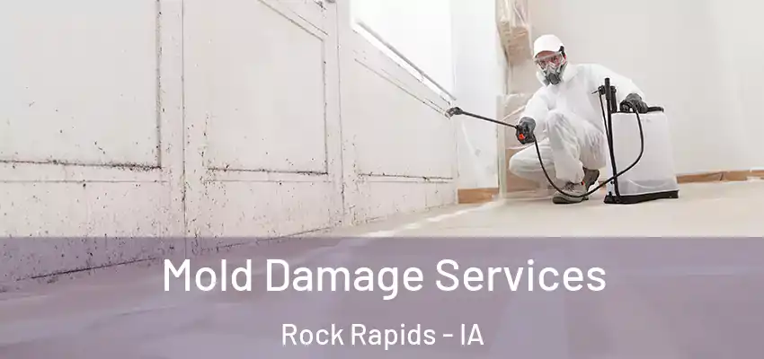Mold Damage Services Rock Rapids - IA