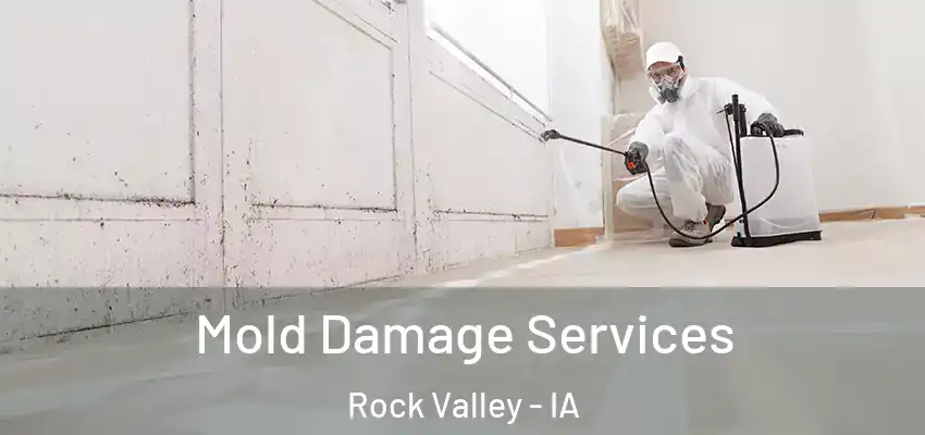 Mold Damage Services Rock Valley - IA