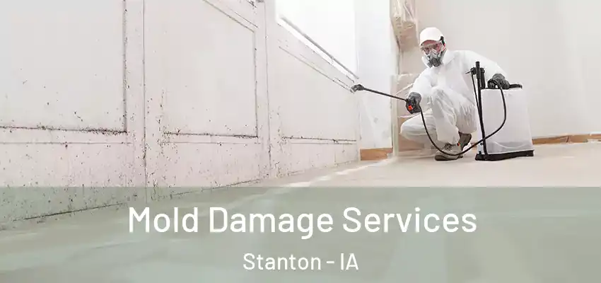  Mold Damage Services Stanton - IA