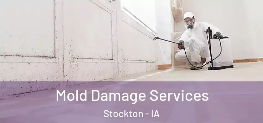 Mold Damage Services Stockton - IA