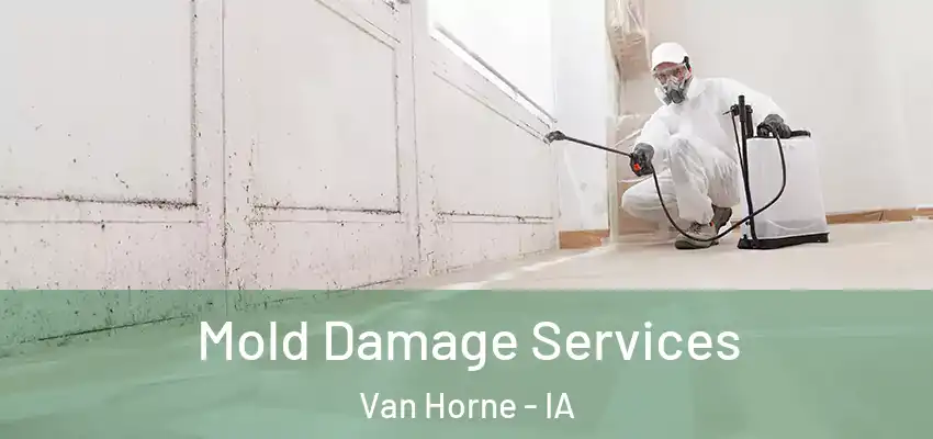 Mold Damage Services Van Horne - IA