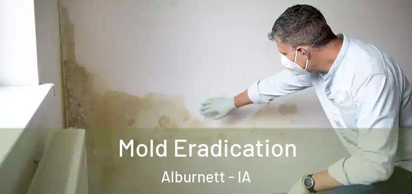 Mold Eradication Alburnett - IA