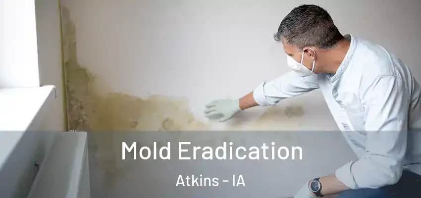 Mold Eradication Atkins - IA