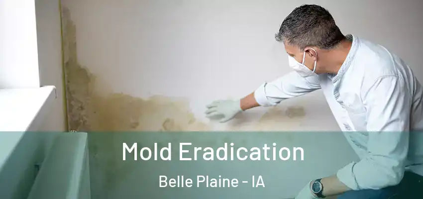 Mold Eradication Belle Plaine - IA