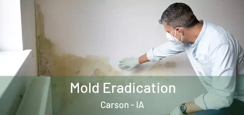 Mold Eradication Carson - IA