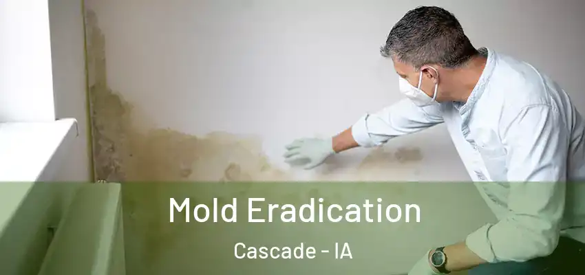  Mold Eradication Cascade - IA