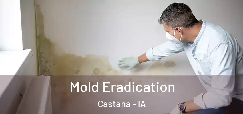 Mold Eradication Castana - IA