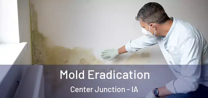 Mold Eradication Center Junction - IA