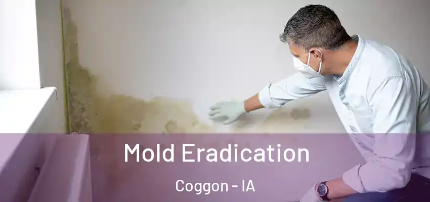Mold Eradication Coggon - IA