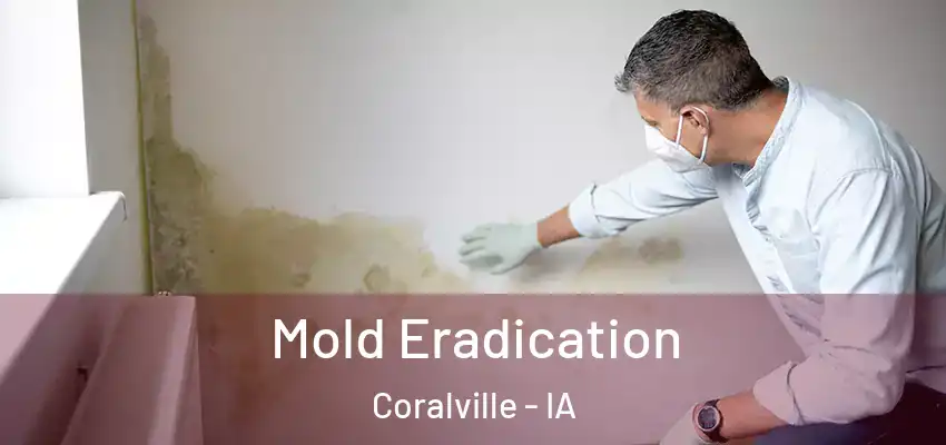 Mold Eradication Coralville - IA