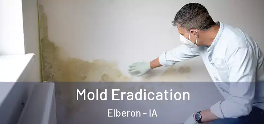  Mold Eradication Elberon - IA