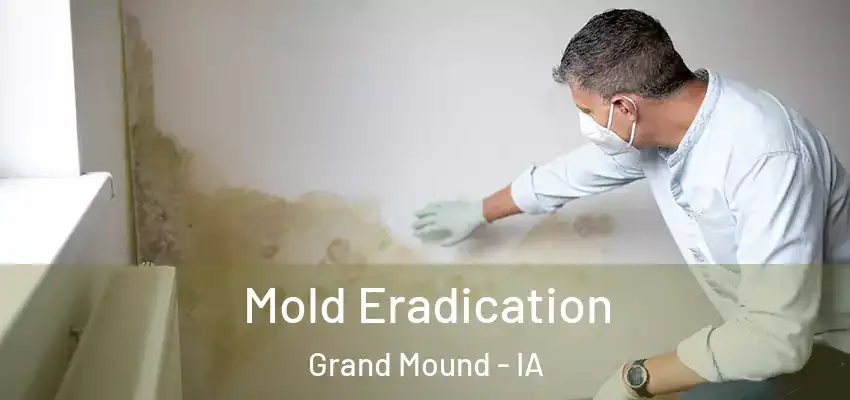  Mold Eradication Grand Mound - IA