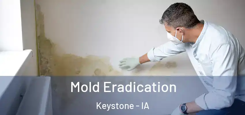  Mold Eradication Keystone - IA