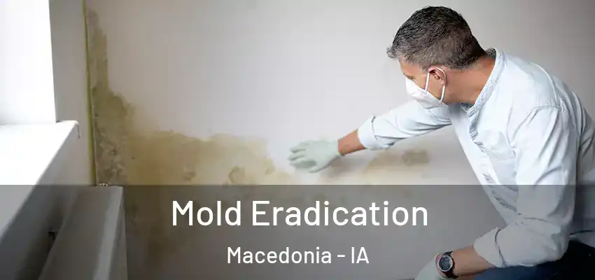 Mold Eradication Macedonia - IA