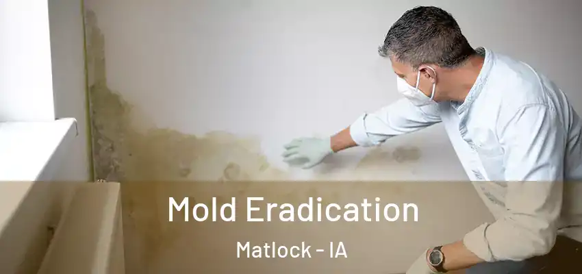  Mold Eradication Matlock - IA