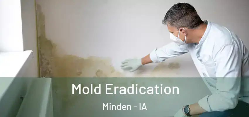  Mold Eradication Minden - IA
