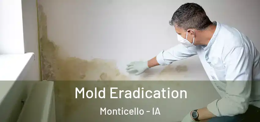 Mold Eradication Monticello - IA