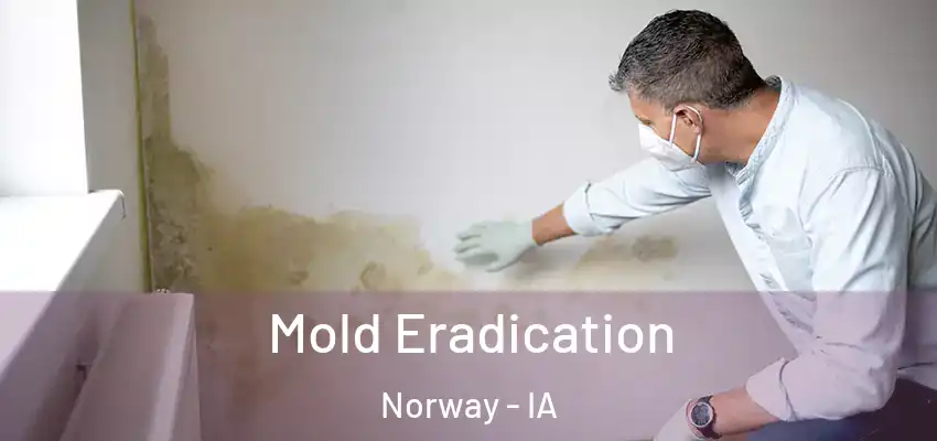  Mold Eradication Norway - IA