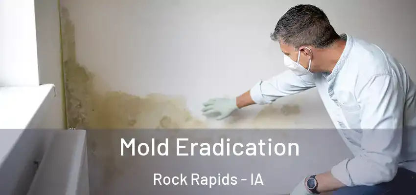 Mold Eradication Rock Rapids - IA