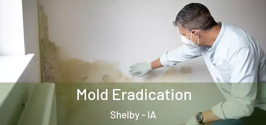 Mold Eradication Shelby - IA