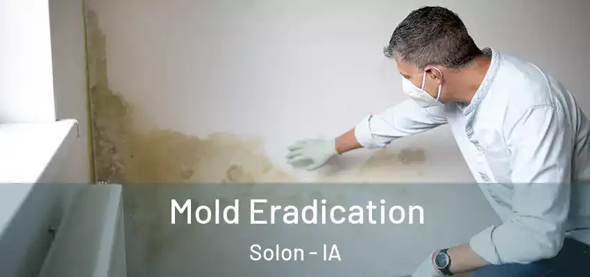  Mold Eradication Solon - IA